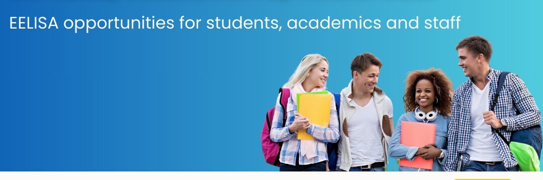 Poster EELISA – International Fest
